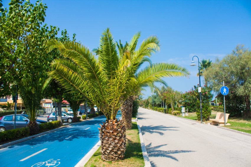 Promenade sur le Lungomare Marconi à Alba Adriatica